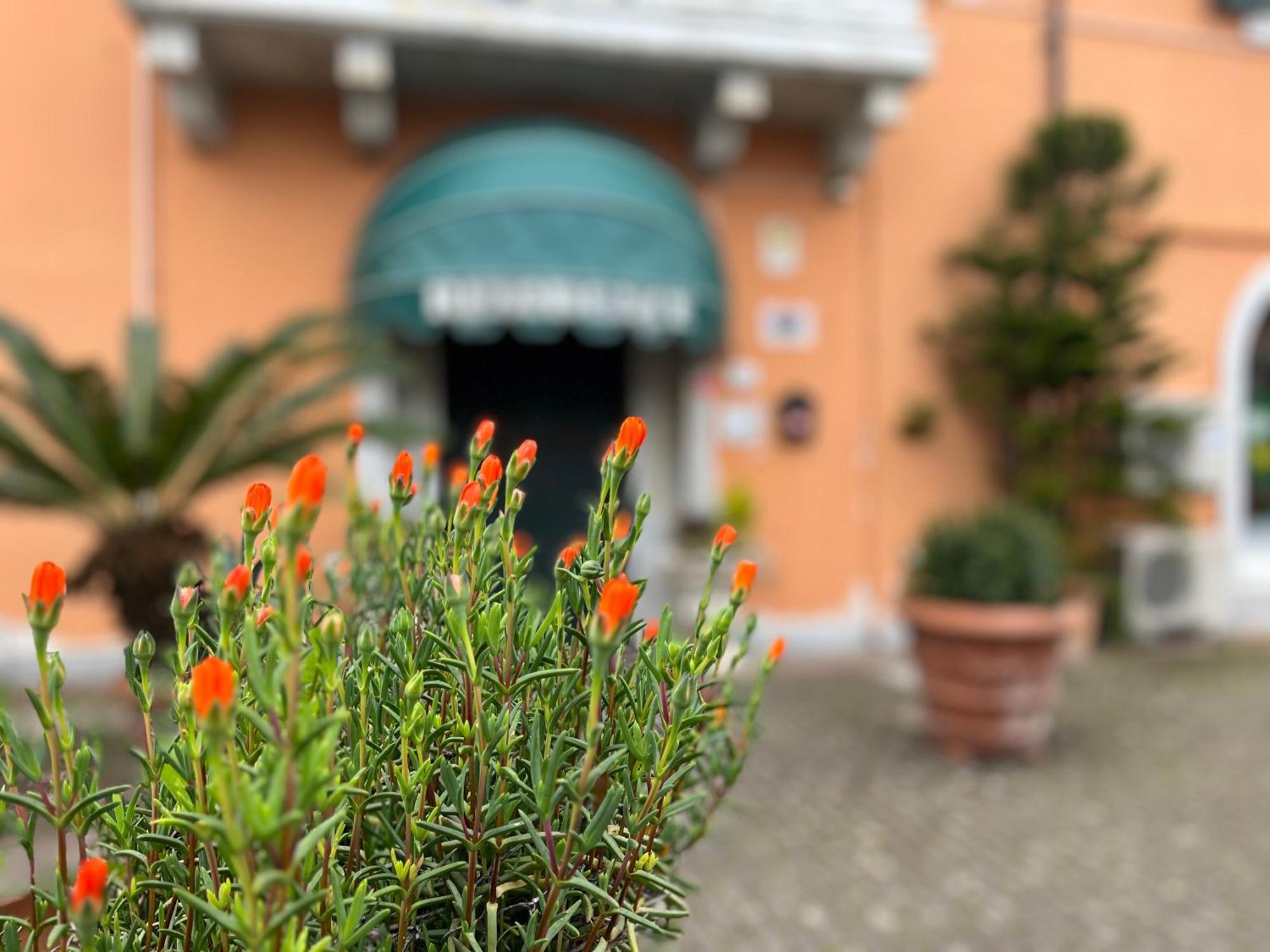 Residence Internazionale Pietrasanta Extérieur photo
